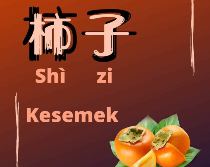 9 Khasiat Buah Kesemek Buah Asal Tiongkok Yang Perlu Diketahui Buah kesemek (柿子, Shìzi), dalam bahasa ilmiah disebut Diospyros kaki, dan dalam bahasa Inggris dinamakan Oriental persimmon. 9 Khasiat Buah Kesemek Buah Asal Tiongkok Yang Perlu Diketahui