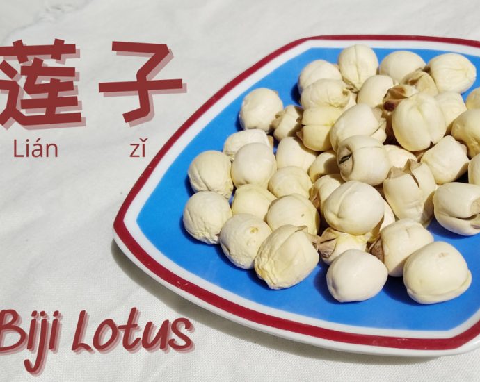 Khasiat Biji Lotus (莲子), Dari Menyembuhkan Diare Hingga Meredakan Insomnia
