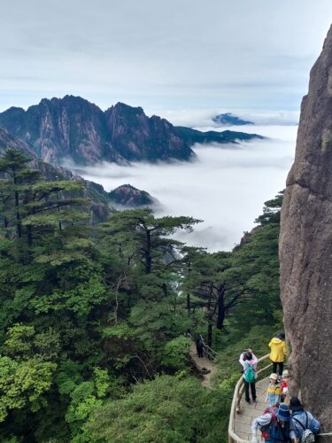 Huangshan/Yellow Mountain, Pegunungan di Provinsi Anhui, Tiongkok Huangshan atau Gunung Huang (黄山 dibaca: Huángshān), adalah sebuah pegunungan di Provinsi Anhui selatan, di Tiongkok bagian timur. Vegetasi di pegunungan lebih rimbun pada ketinggian di bawah 1100 meter (3600 ft), di mana pepohonan tumbuh sampai batas di 1800 meter (5900 ft). Tionghoa Org - Huangshan Yellow Mountain, Pegunungan di Provinsi Anhui, Tiongkok - 4