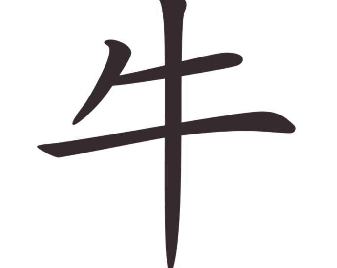 Aksara Tionghoa Niu (牛) - Sapi