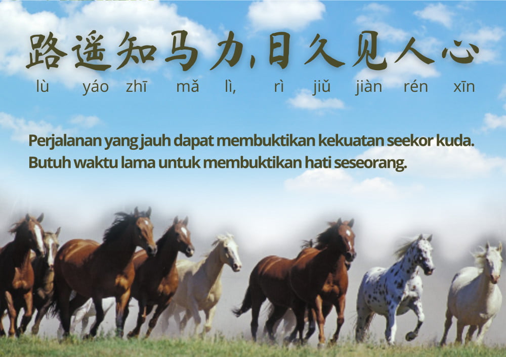 Idiom Tiongkok : Perjalanan Jauh Membuktikan Kekuatan Seekor Kuda ( 路遥知马力，日久见人心)
