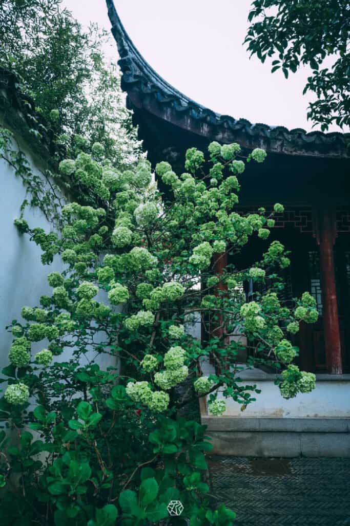 Keindahan Taman Zhuozheng di Suzhou, Tiongkok Taman Zhuozheng (Hanzi: 拙政园, Pinyin: Zhuōzhèng yuán) adalah taman yang terletak di Suzhou, merupakan Situs Warisan Dunia UNESCO dan salah satu taman paling terkenal di Suzhou. Keindahan Taman Zhuozheng di Suzhou, Tiongkok