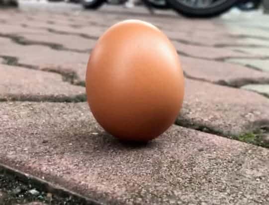 Tradisi Festival Perahu Naga Dalam bahasa Tionghoa, Festival Perahu Naga disebut sebagai Duanwu Jie (Hanzi: 端午节, Pinyin: Duānwǔ jié). Tradisi Festival Perahu Naga