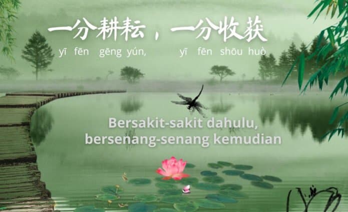 Enzo Fernandez Bersakit-sakit Dahulu, Bersenang-senang Kemudian