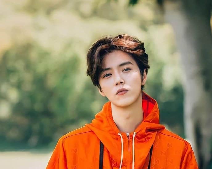Biodata & Nama Fandom Lu Han 鹿晗