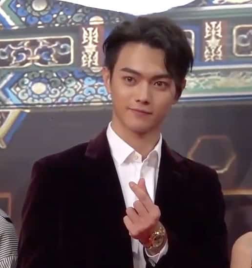 Biodata dan Profil Aktor Xu Kai / 许凯