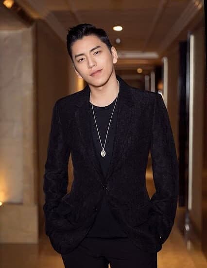 Biodata dan Profil Aktor Darren Wang / Wang Da Lu / 王大陸
