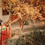 Sejarah dan Seni Lampion Tradisional Tiongkok Lampion Tiongkok (灯笼 ; dēng lóng,), juga dikenal sebagai Deng Cai (灯彩 ; dēng cǎi), adalah salah satu kerajinan tradisional Tiongkok kuno. Tionghoa Org - Sejarah dan Seni Lampion Tradisional Tiongkok - 2